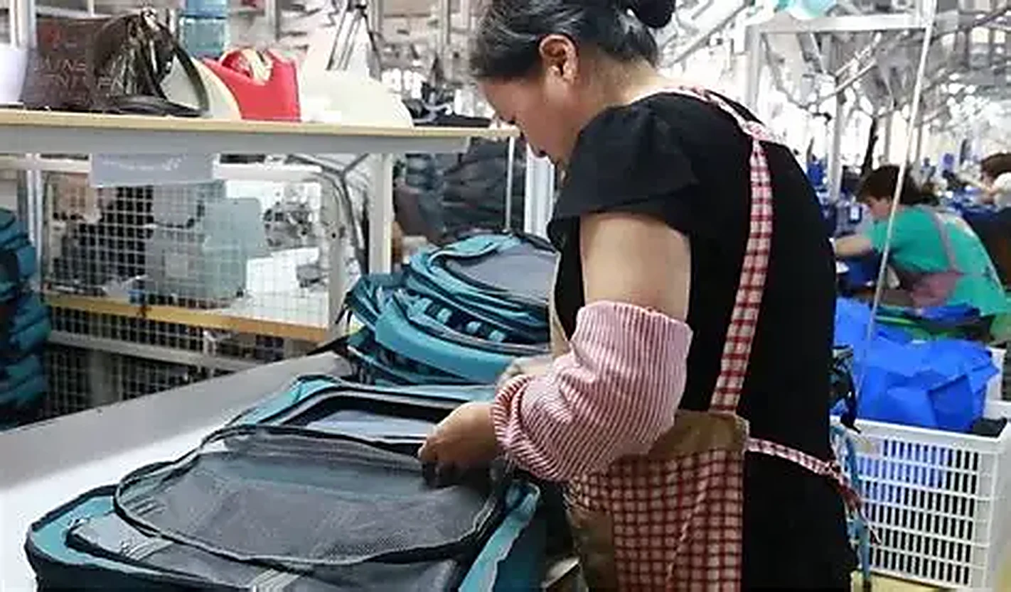 Sewing line on a representative softside programme